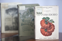 New AGORA online course coming in May