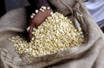 TEEAL Institutional Grants 2015