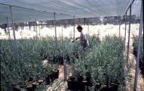 Grey Literature Resources