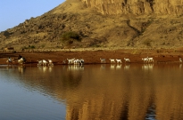 TEEAL Post-Graduate Research Paper Competition 2015