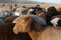 New AGORA online course on ITOCA Moodle, May-June 2015