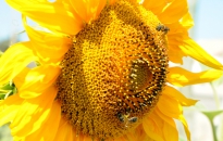 Unsung Heroes: Stories From the Library