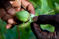 New Research4Life Training Portal