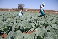 Research4Life Newsletter March 2015